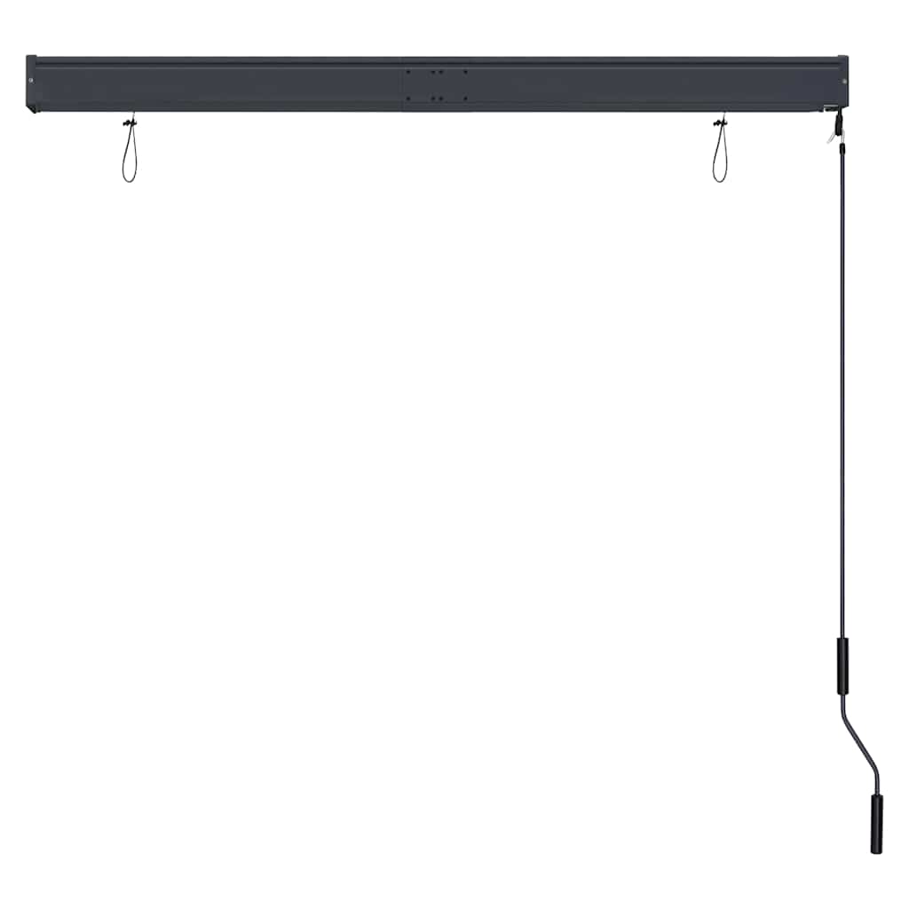 Outdoor Roller Blind 140x250 cm Anthracite