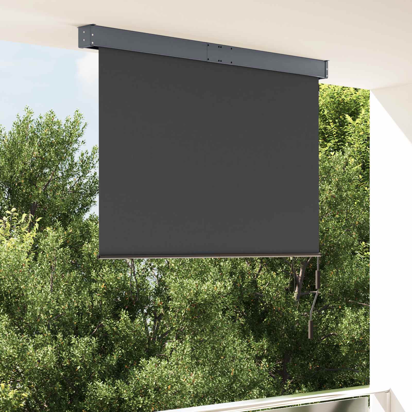 Outdoor Roller Blind 140x250 cm Anthracite