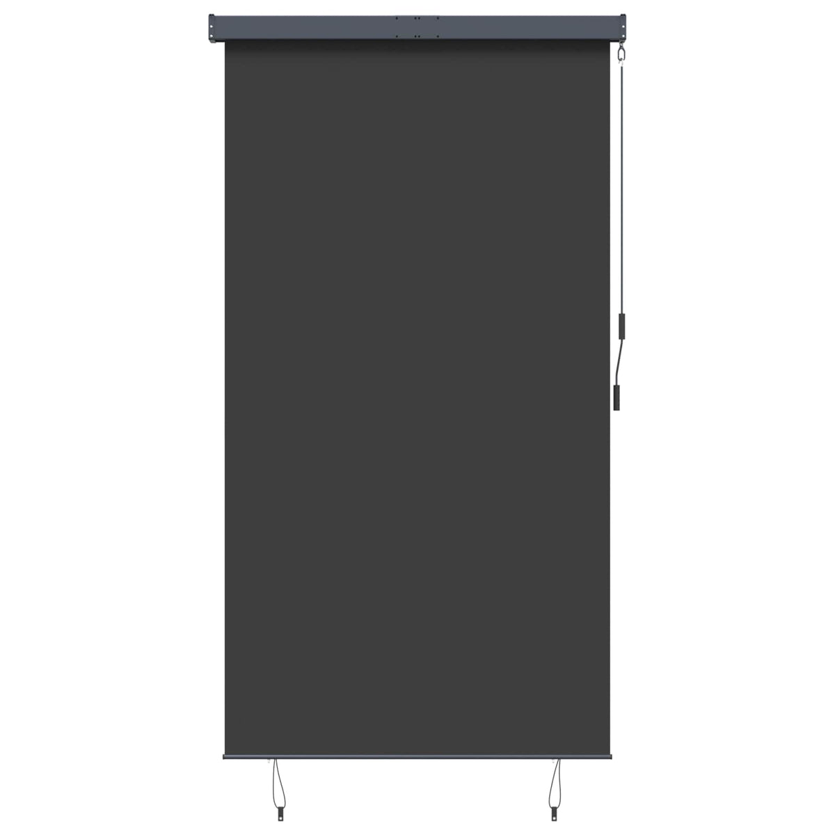 Outdoor Roller Blind 140x250 cm Anthracite