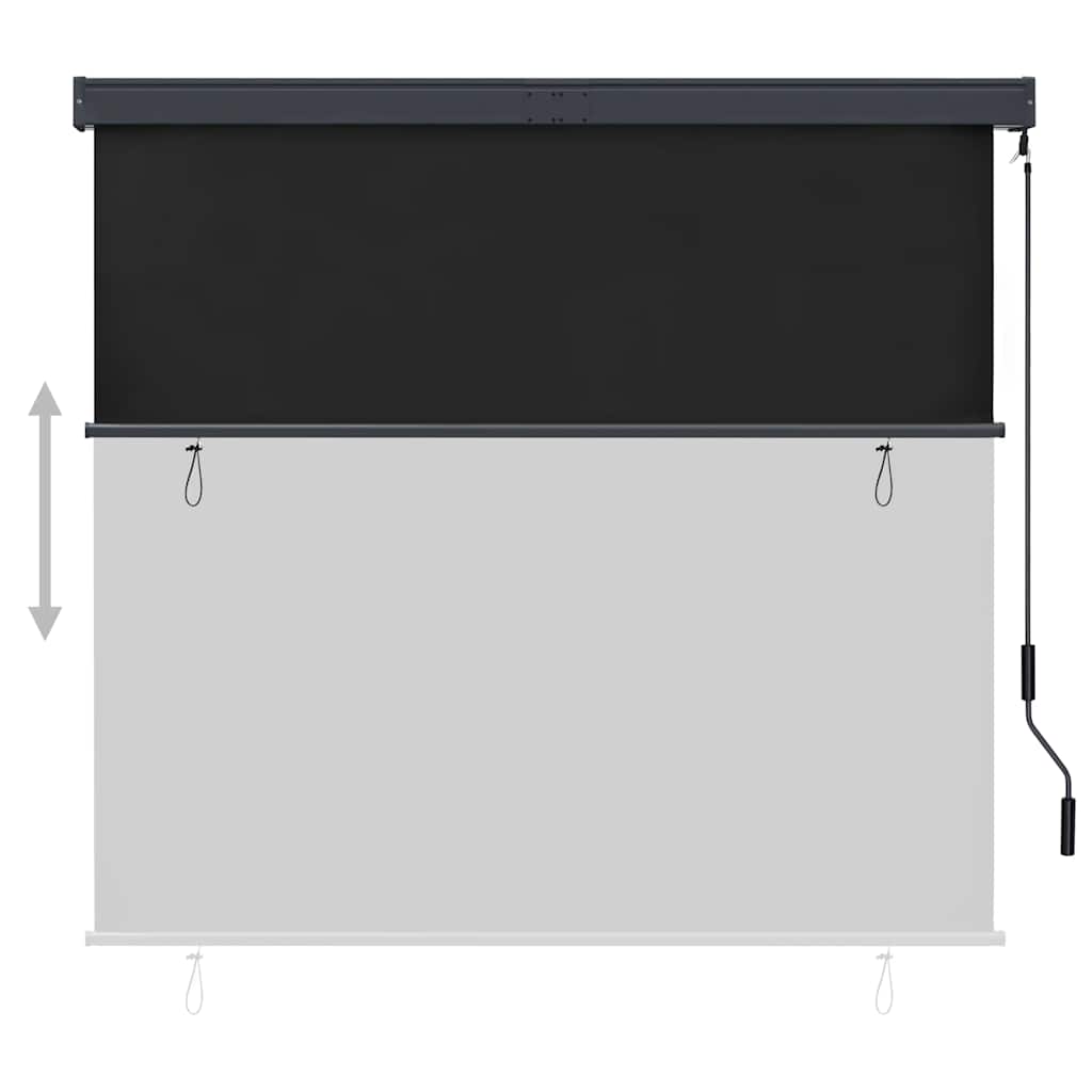 Outdoor Roller Blind 160x250 cm Anthracite