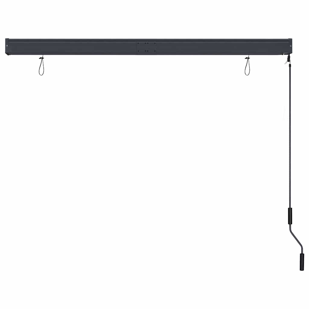 Outdoor Roller Blind 160x250 cm Anthracite
