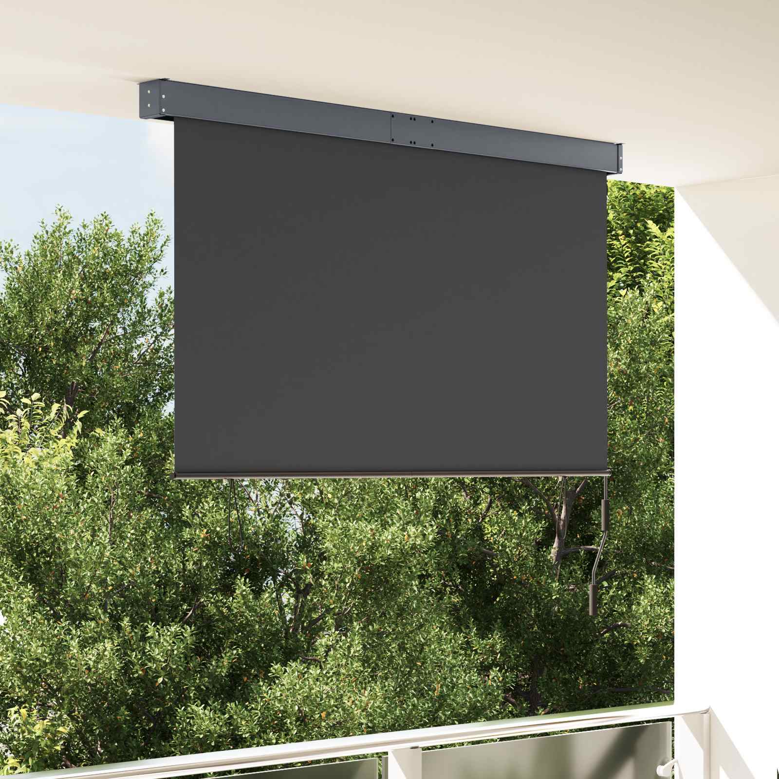 Outdoor Roller Blind 160x250 cm Anthracite