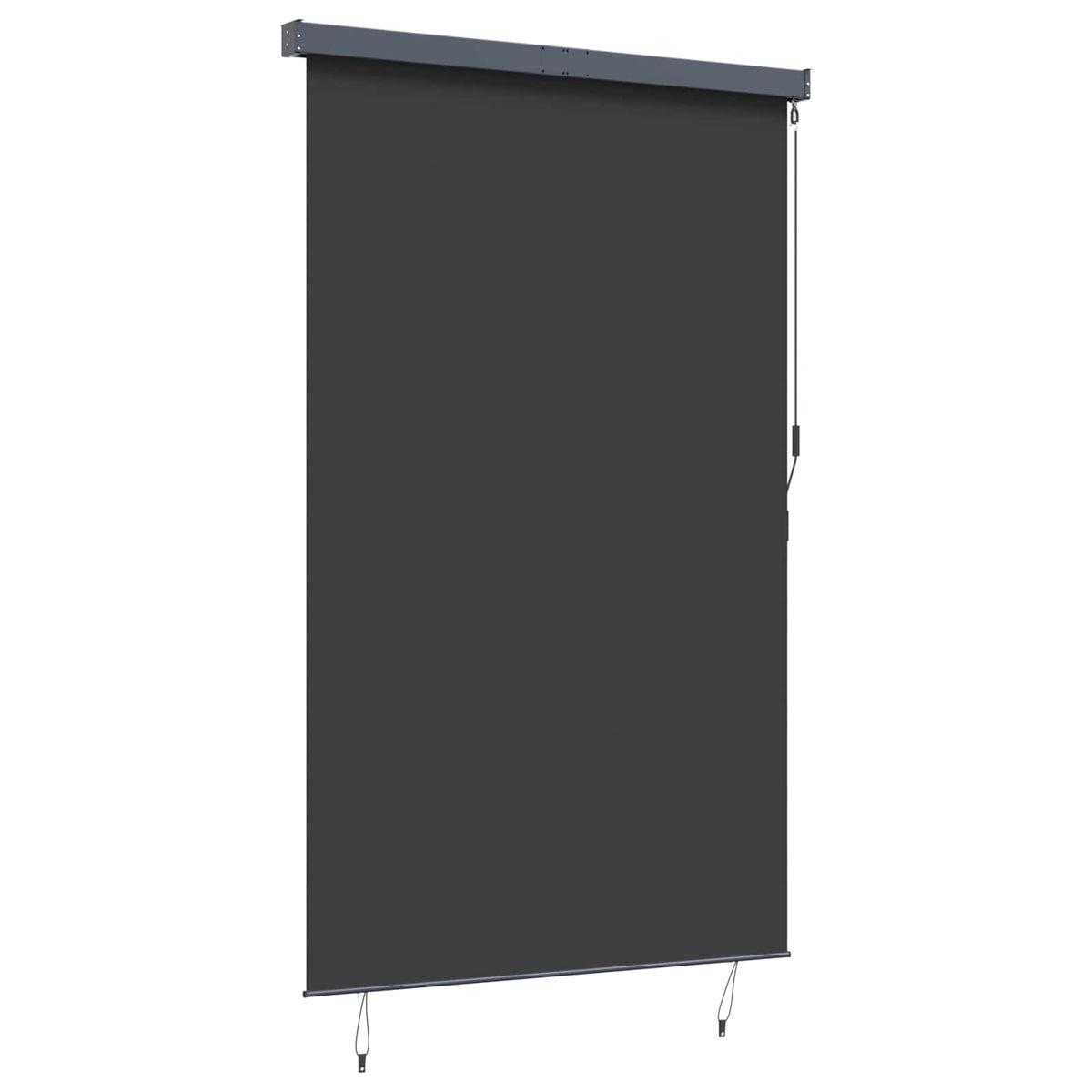 Outdoor Roller Blind 160x250 cm Anthracite
