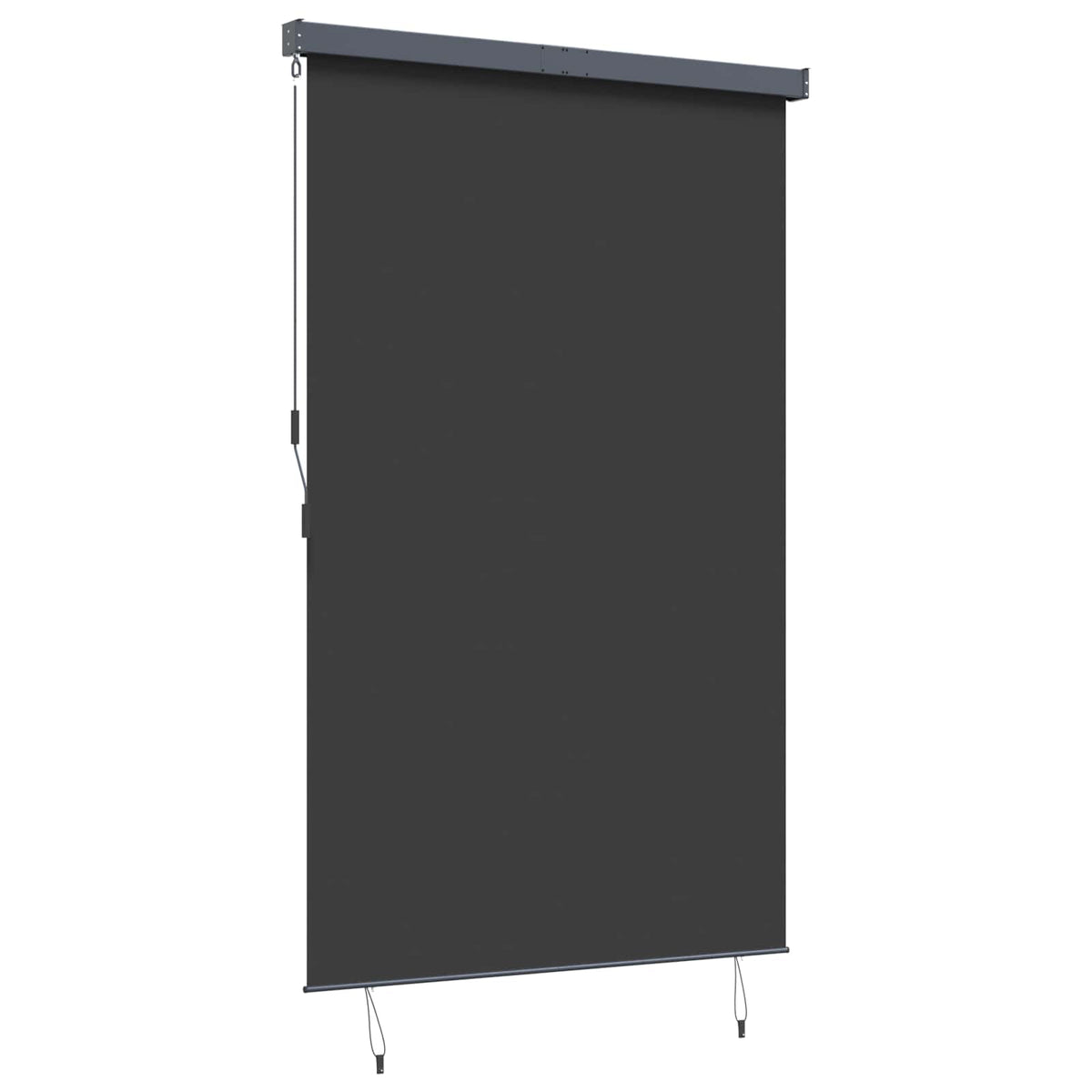 Outdoor Roller Blind 160x250 cm Anthracite