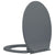 Soft-Close Toilet Seat Grey Oval