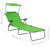 Sun Lounger with Canopy Steel Green