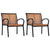 Garden Chairs 2 pcs Steel and WPC Black and Brown