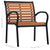 Garden Chairs 2 pcs Steel and WPC Black and Brown