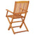 Folding Garden Chairs 2 pcs Solid Eucalyptus Wood