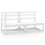 2 Piece Garden Lounge Set White Solid Pinewood