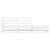 3 Piece Garden Lounge Set White Solid Pinewood