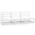 3 Piece Garden Lounge Set White Solid Pinewood