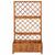 Raised Bed with Trellis 85x38x150 cm Solid Acacia Wood