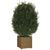 Garden Planter Honey Brown 40x40x40 cm Solid Pinewood