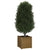 Garden Planter Honey Brown 50x50x50 cm Solid Pinewood