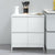 Sideboard High Gloss White 70x41x75 cm Engineered Wood