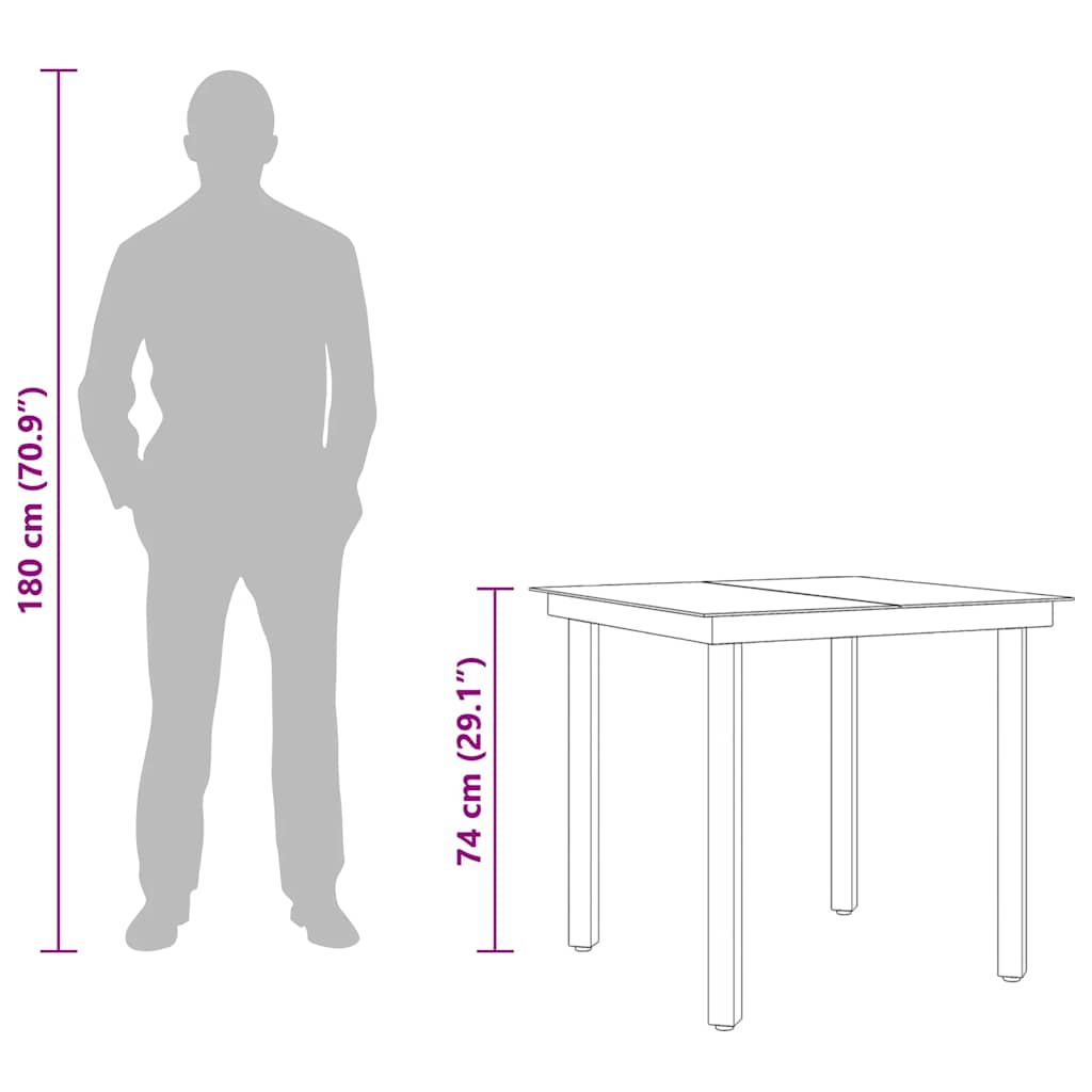 Garden Dining Table Black 80x80x74 cm Steel and Glass