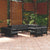 11 Piece Garden Lounge Set with Cushions Black Solid Pinewood