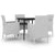 5 Piece Garden Dining Set with Cushions Poly Rattan and Glass