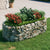 Gabion Raised Bed Galvanised Iron 200x100x50 cm