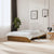 Bed Frame without Mattress Honey Brown Solid Wood 150x200 cm
