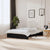 Bed Frame without Mattress Black Solid Wood 150x200 cm