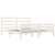 Bed Frame without Mattress White Solid Wood 183x203 cm King