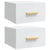 Wall-mounted Bedside Cabinets 2 pcs High Gloss White 35x35x20 cm