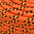Boat Rope Orange 8 mm 50 m Polypropylene