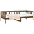 Day Bed without Mattress Honey Brown 90x190 cm Solid Wood Pine