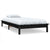 Bed Frame without Mattress Black 90x190 cm Solid Wood