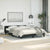 Bed Frame without Mattress Black Queen Faux Leather