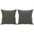 Throw Pillows 2 pcs Dark Grey 40x40 cm Velvet