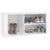 Shoe Cabinet High Gloss White 100x35x45 cm Engineered Wood