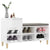 Shoe Cabinet High Gloss White 102x36x60 cm Engineered Wood