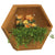 Wall Planters 2 pcs Rusty Corten Steel 46x10x40 cm