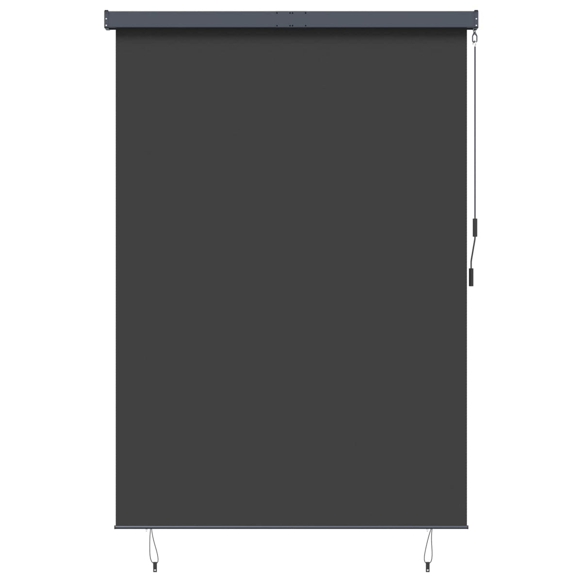 Roller Blind Anthracite 180 x 250 cm Fabric and Aluminum