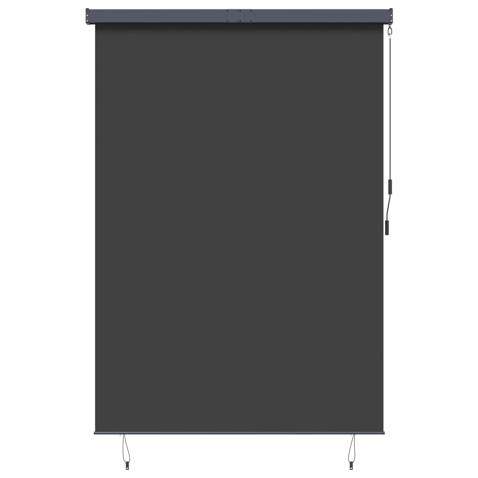Roller Blind Anthracite 180 x 250 cm Fabric and Aluminum