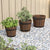 3 Piece Wooden Bucket Planter Set Solid Wood Fir