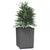 Planters 2 pcs Black 30x30x37 cm Polypropylene