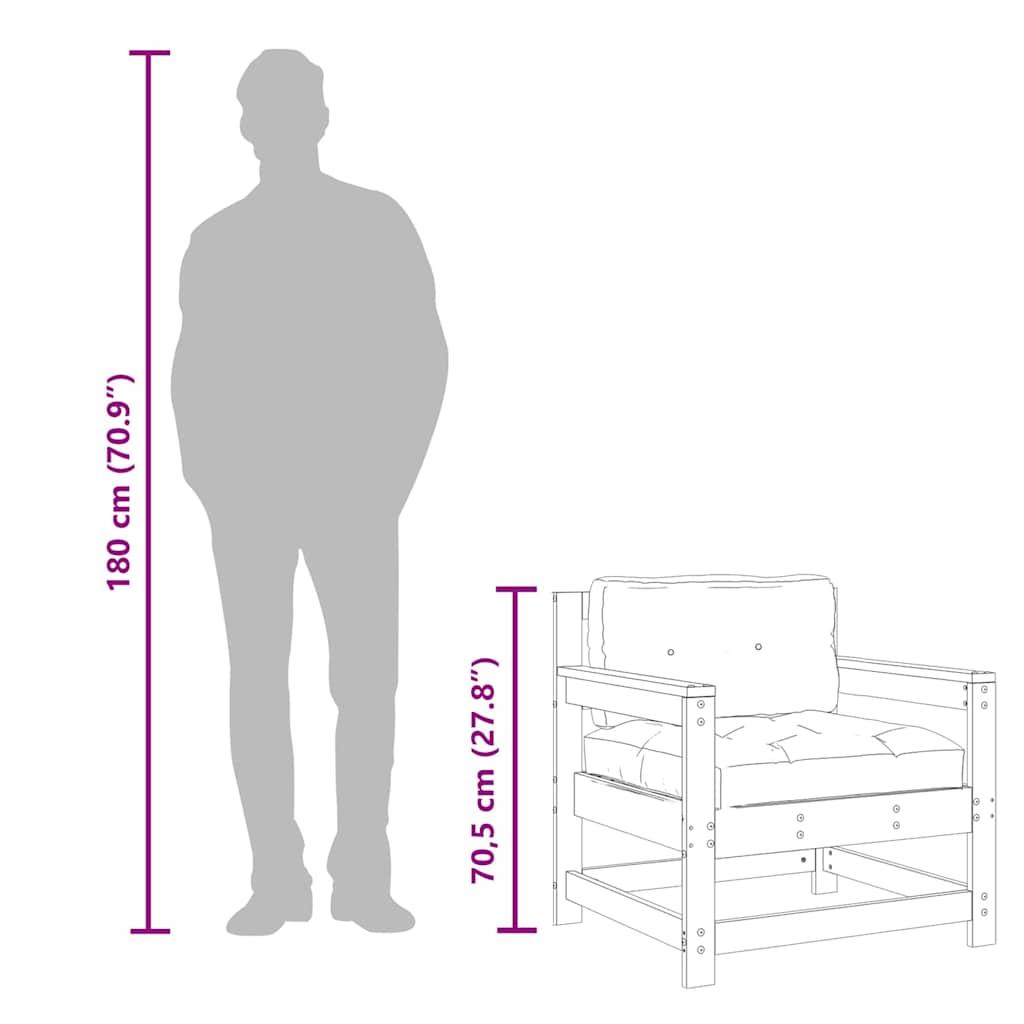 Garden Chairs with Cushions 2 pcs Solid Wood Pine