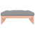 Garden Footstool 120x80 cm Solid Wood Douglas