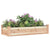 Garden Raised Bed with Liner 120x45x25 cm Solid Wood Fir