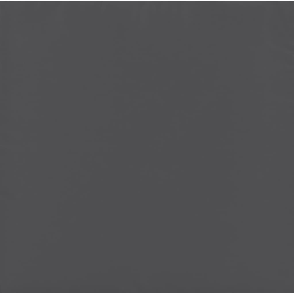 10 Piece Garden Lounge Set with Cushions Anthracite Poly Rattan