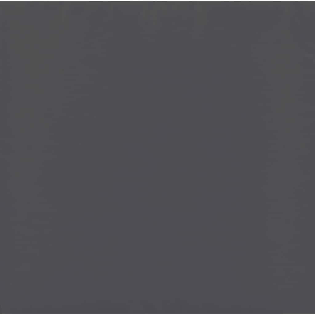 10 Piece Garden Lounge Set with Cushions Anthracite Steel