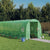 Greenhouse with Steel Frame Green 16 m² 8x2x2 m