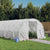 Greenhouse with Steel Frame White 60 m² 20x3x2 m