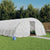 Greenhouse with Steel Frame White 30 m² 6x5x2.3 m