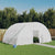 Greenhouse with Steel Frame White 24 m² 6x4x2.85 m