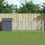 Dog House with Roof Anthracite 117x405x123 cm Galvanised Steel
